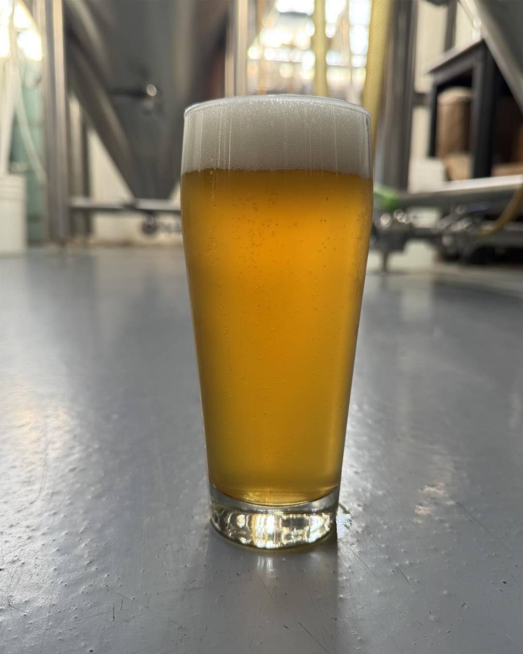 9th Hour Brewing Co. Harvest Hopothesis