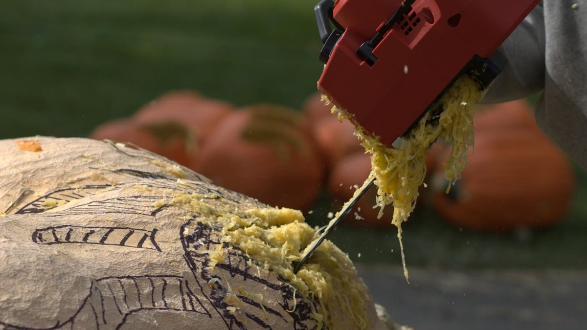 Saw in a pumpkin at Jack O'Lantern World in Lake Zurich