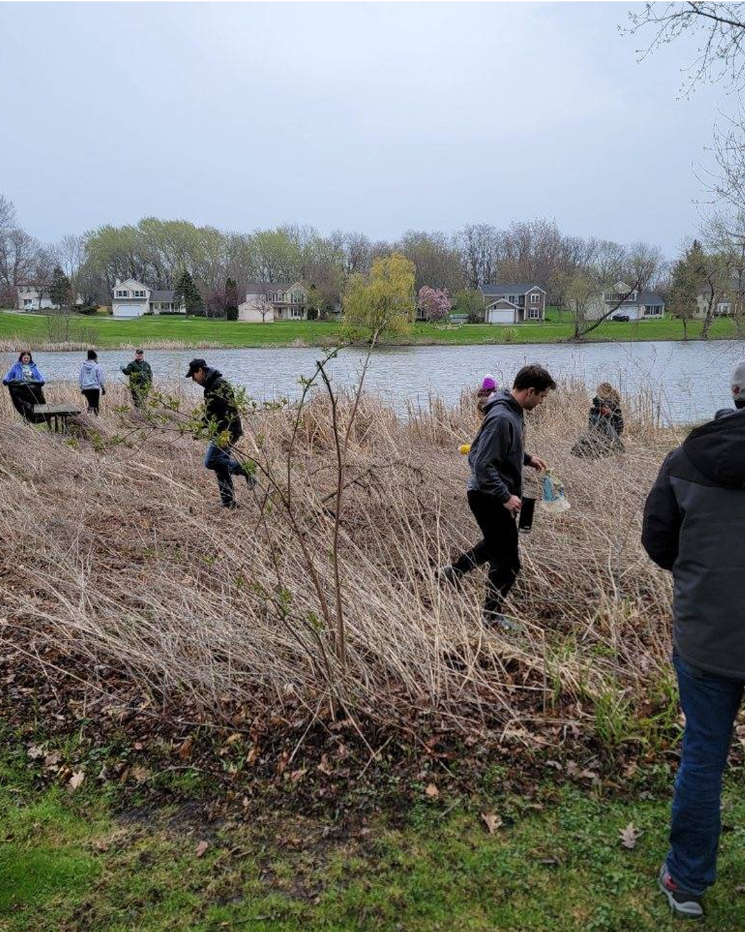 Volunteers in grassy area picking up garabage for Arbor Day in Village of Lake Zurich