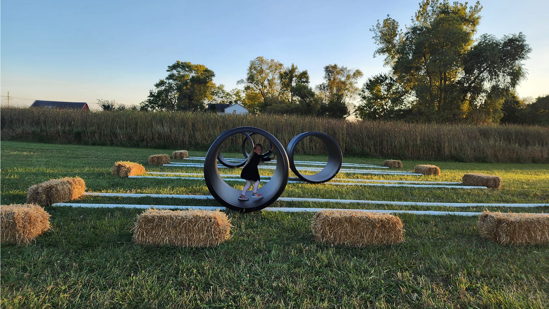 Tobie Family Farm in Grayslake