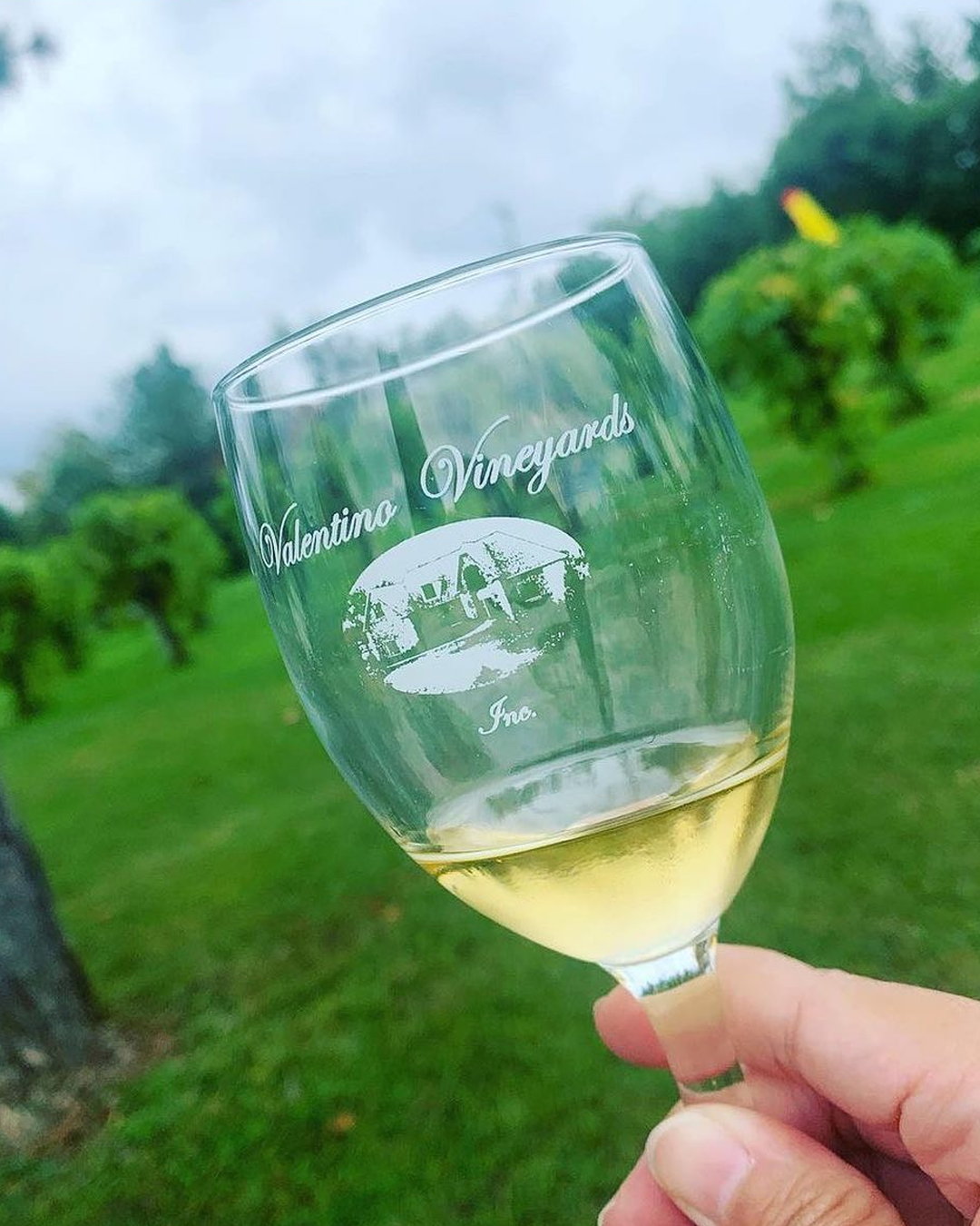 Wine at Valentino Vineyards & Wine in Long Grove