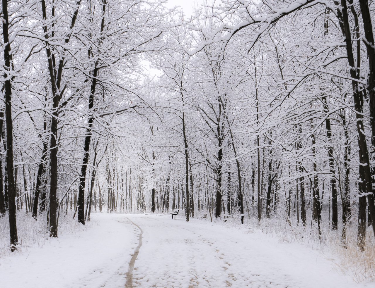 Old School Forest Preserve in Libertyville