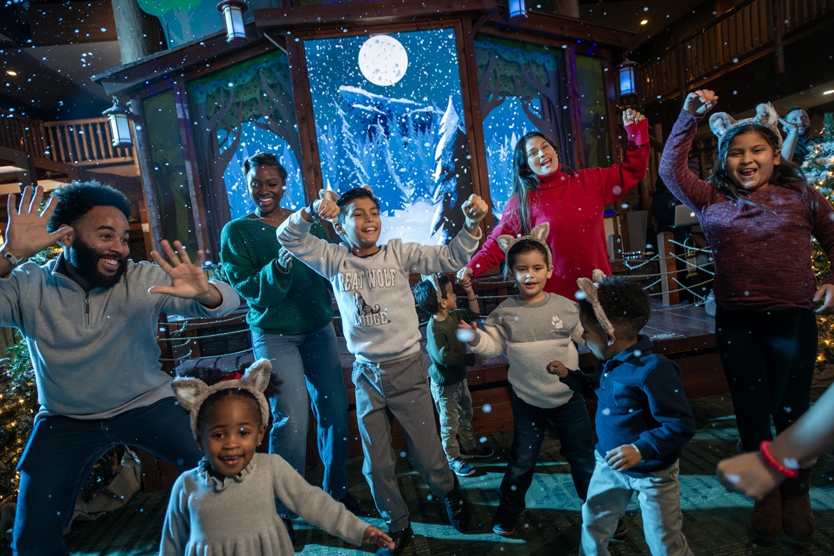 Snowland at Great Wolf Lodge Illinois