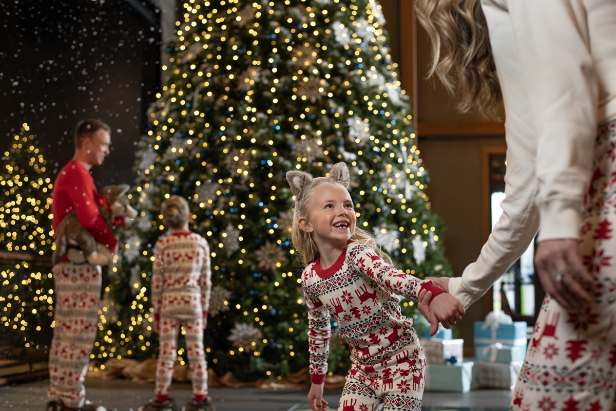 Great Wolf Lodge Illinois