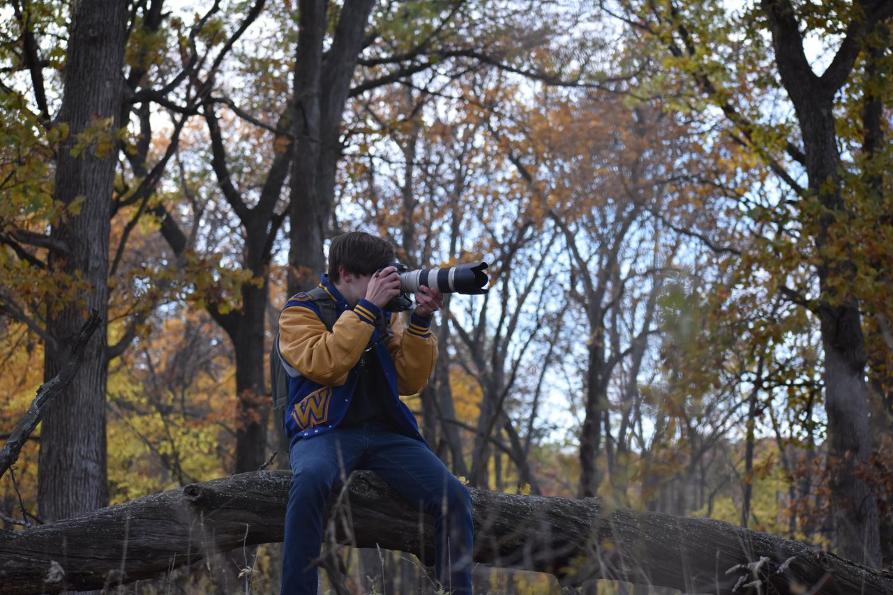 Almond Marsh Forest Preserve