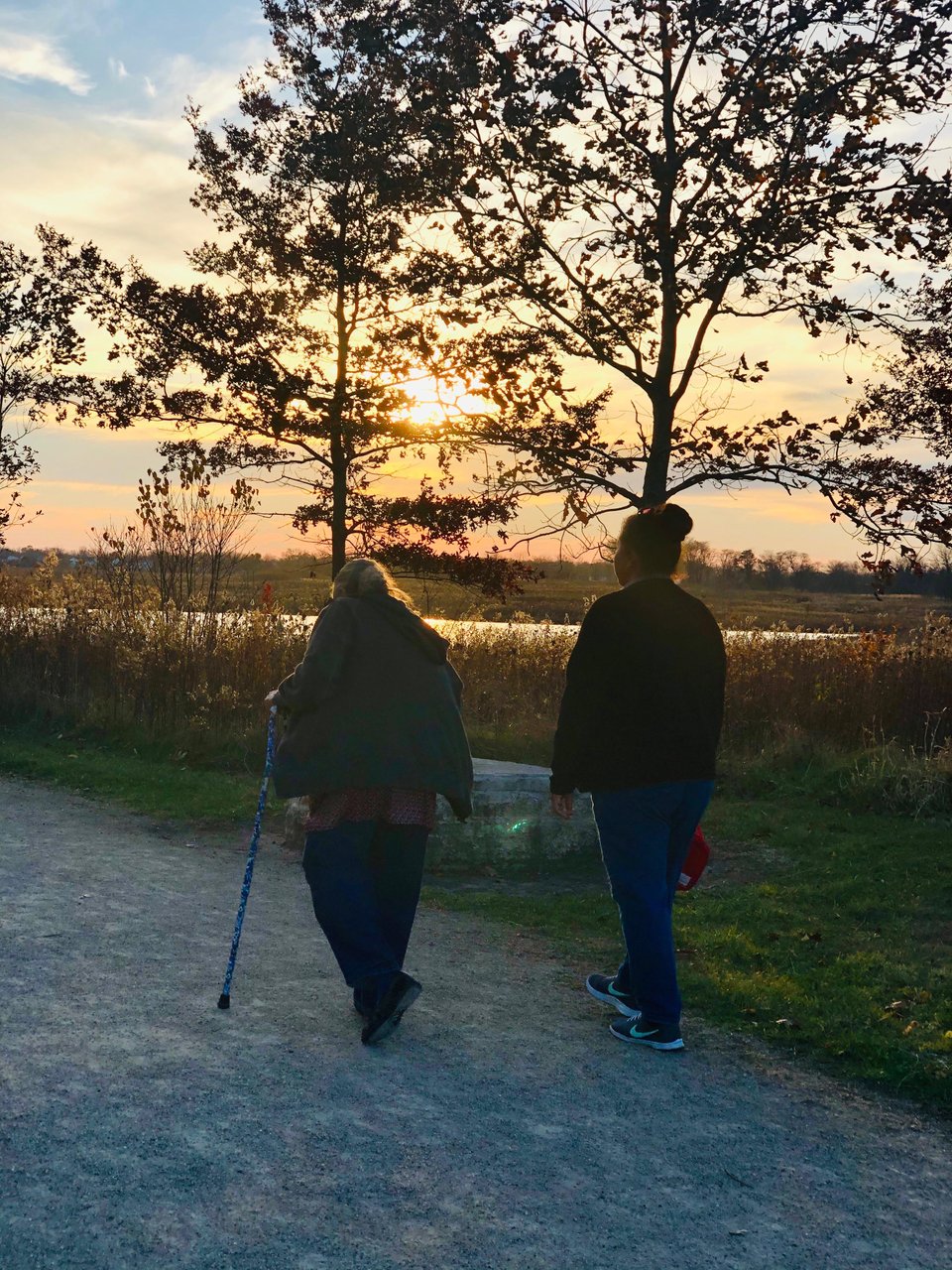 Rollins Savana Forest Preserve