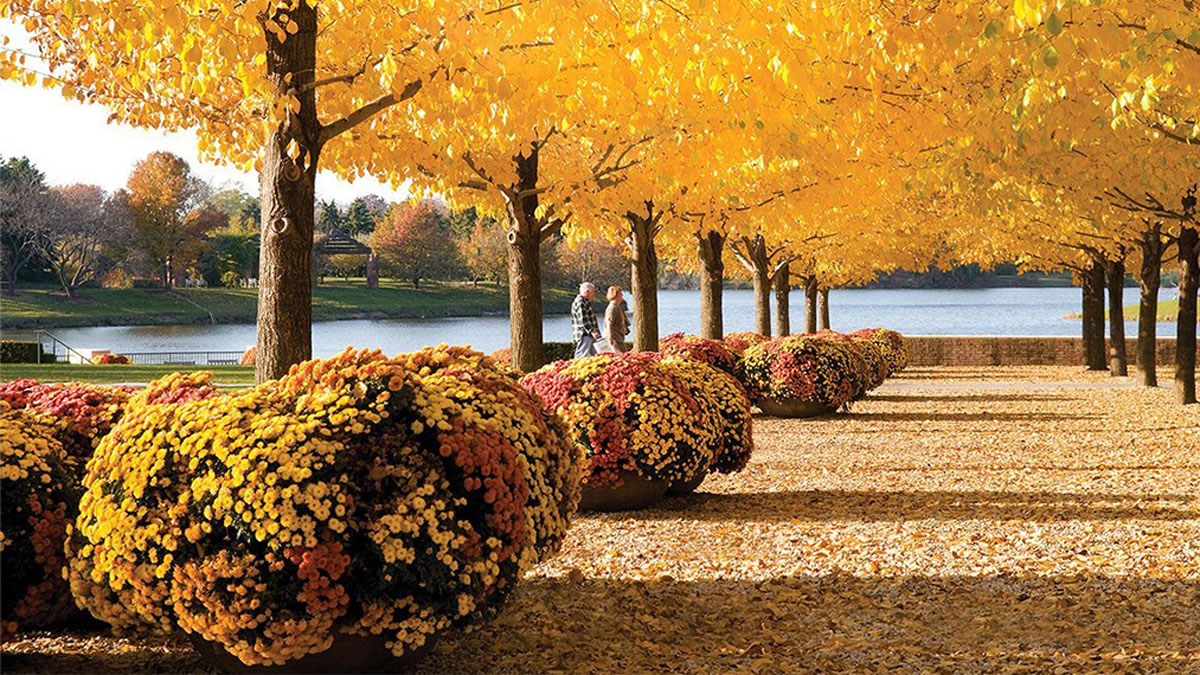 20 Lake County Locations Showcasing Autumn's Kaleidoscope 2026