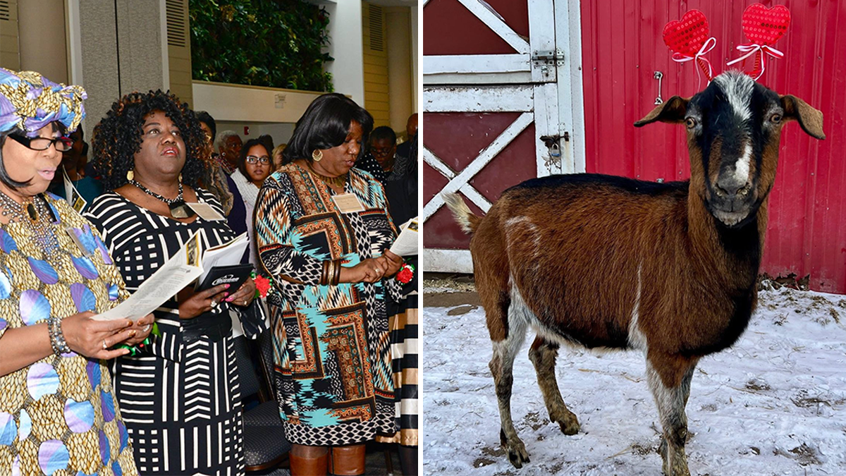 Top 10 Things To Do in February 2026