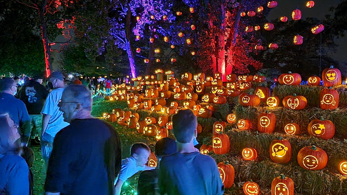 Things To Do This Week September 26-28, 2025