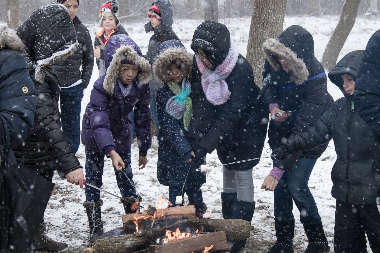 Things To Do This Weekend January 13-16, 2023