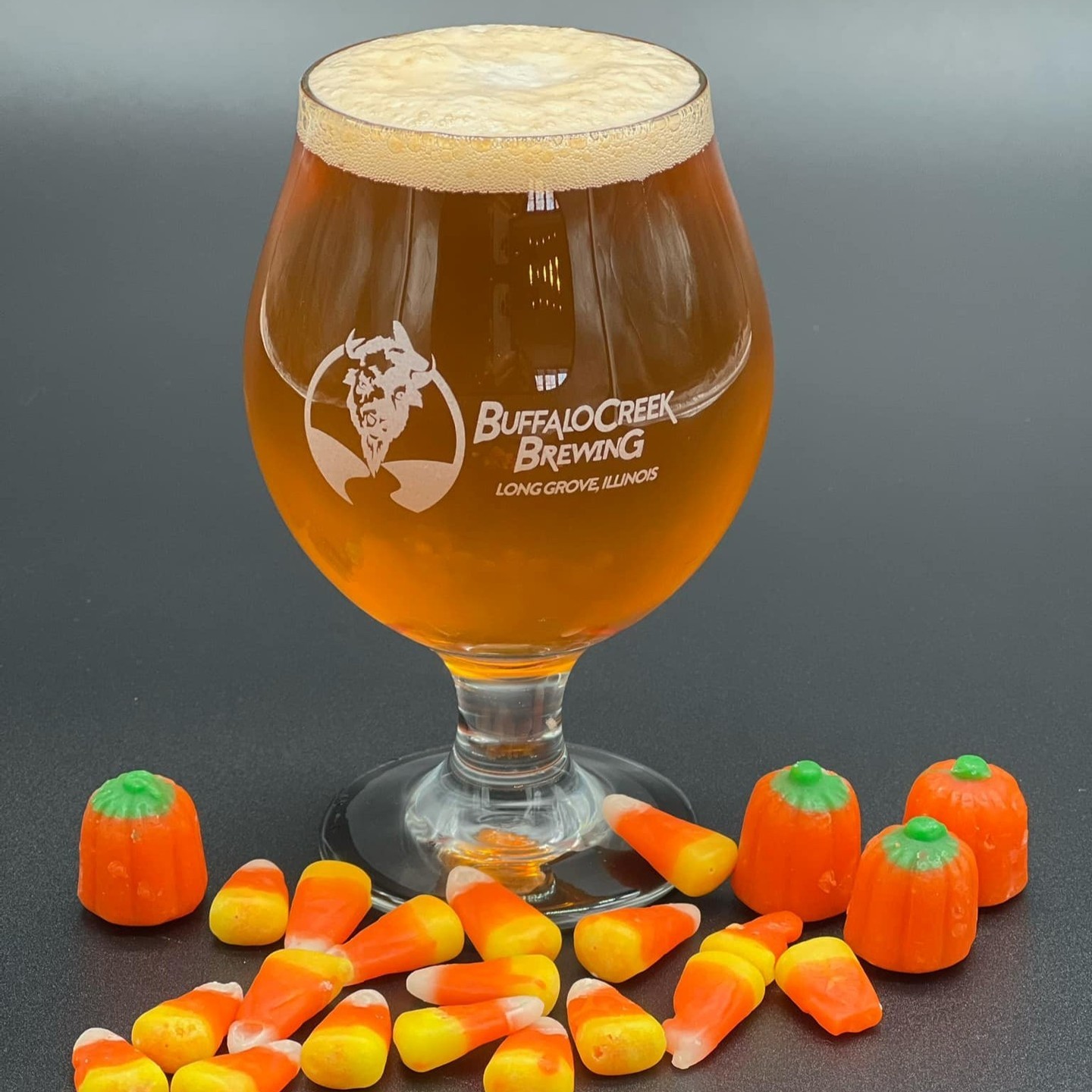 10 Autumn Treats in Lake County, Illinois 2024