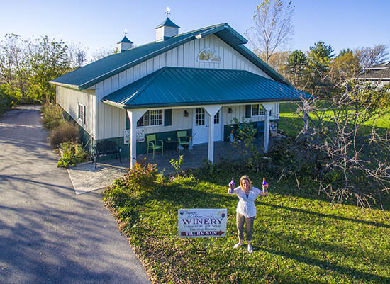 Vigneto del Bino Winery in Antioch