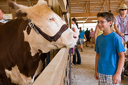 Lake County Fair, July 27-31, 2016