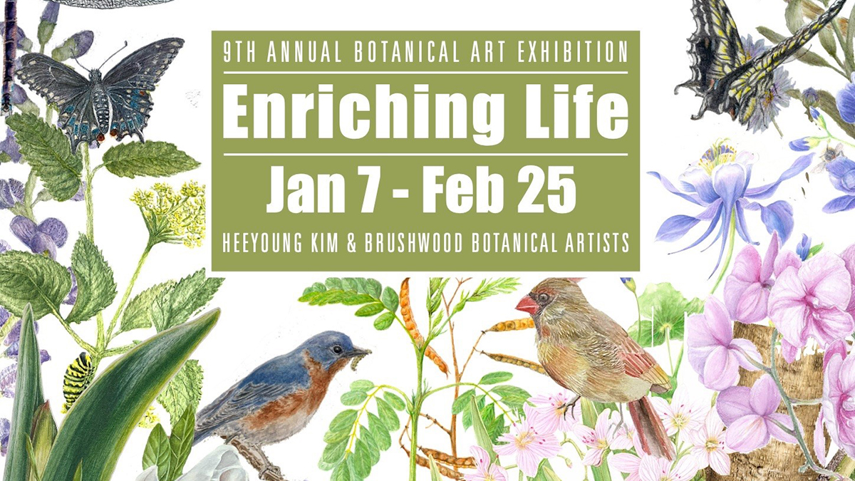 Enriching Life: Heeyoung Kim and the Brushwood Botanical Artists
