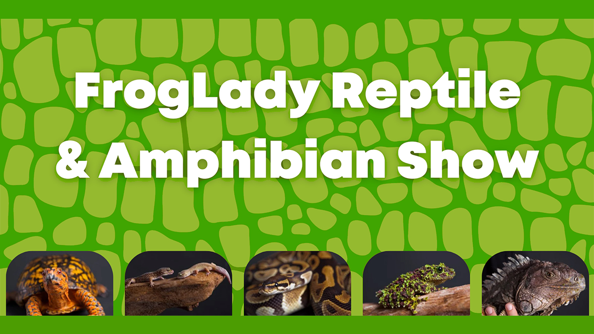FrogLady Reptile & Amphibian Show at Lake Forest Public Library