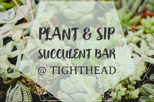 Plant and Sip Succulent Bar
