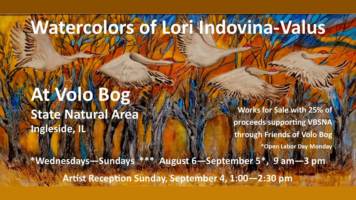 Watercolors of LOri Indovina-Valus at Volo Bog State Natural Area