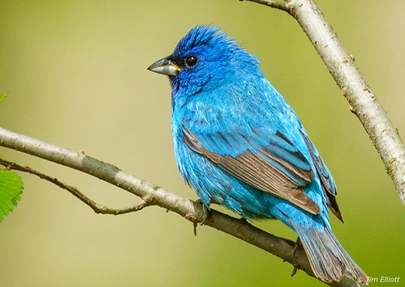 Birds and Blooms Walk at Pine Dunes