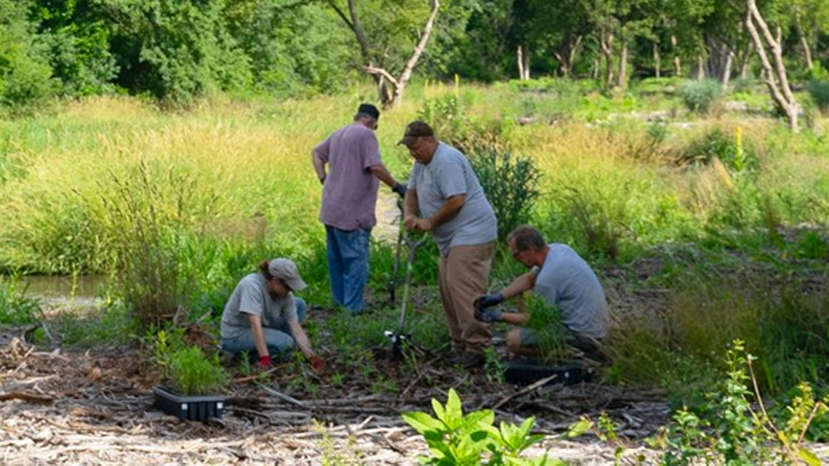 Restoration Workday at Berkeley Prairie Forest Preserve in Highland Park