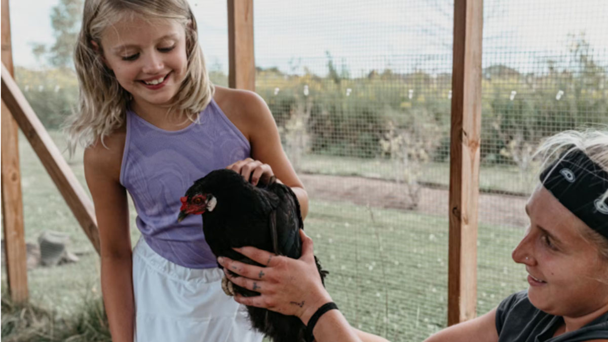 Feathery Friends at Elawa Farm