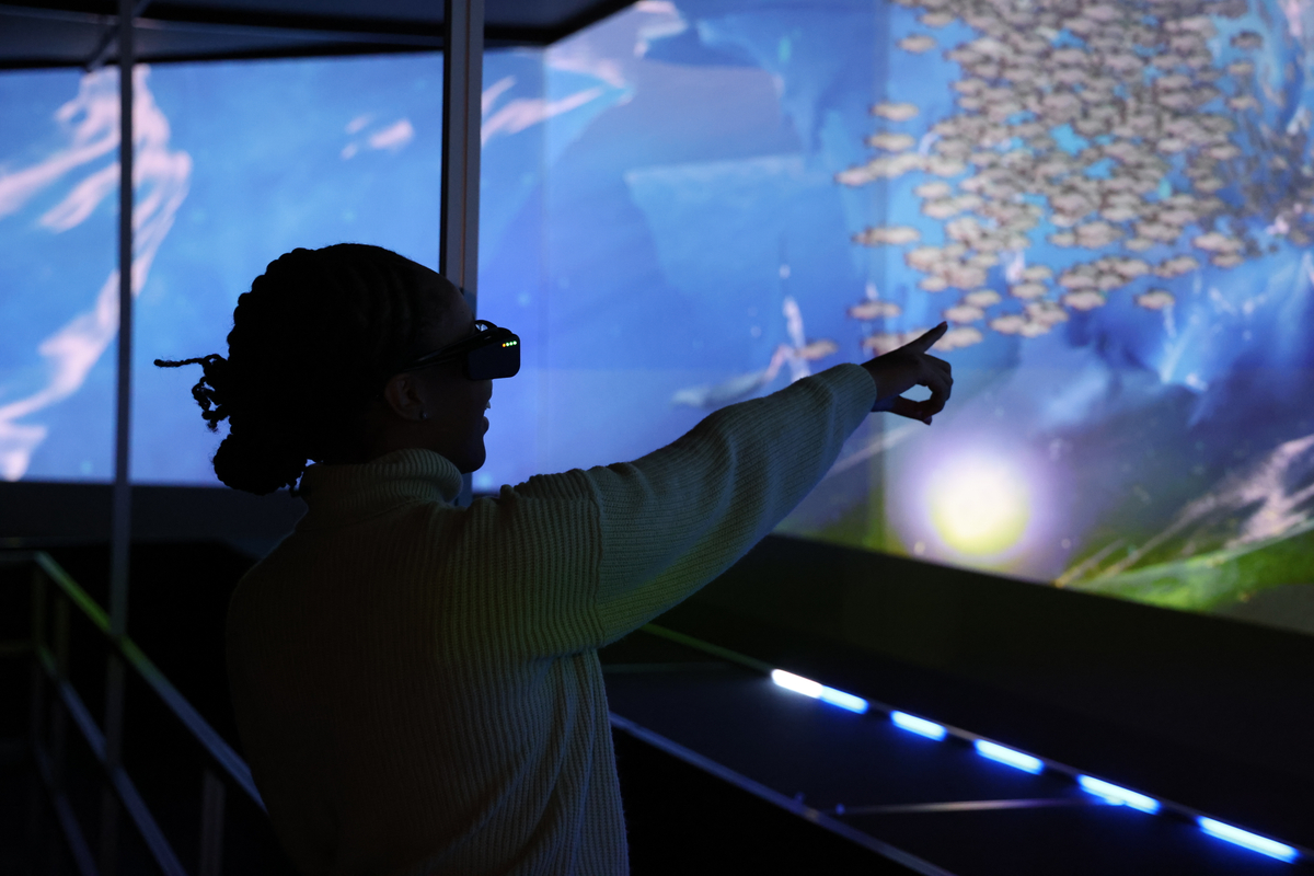 Hologram Zoo IL at Hawthorn 