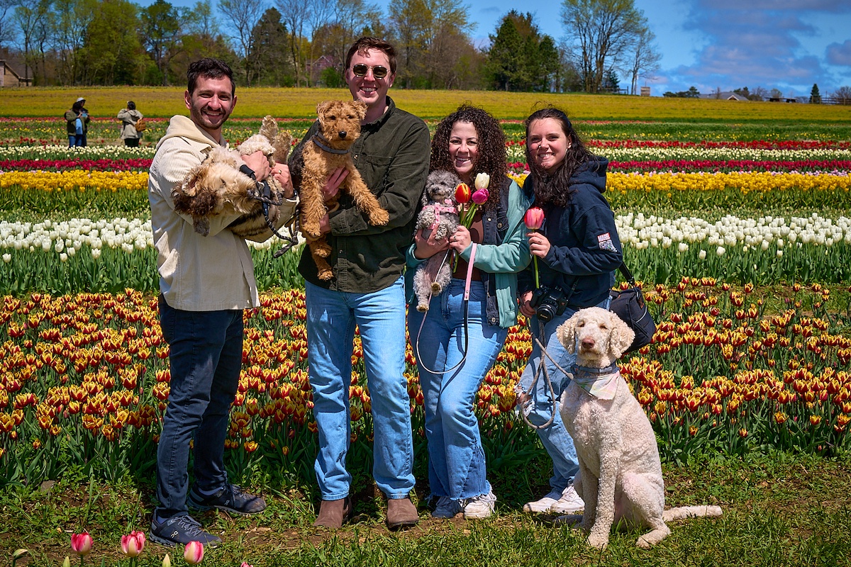 Tulip Fields Open at Richardson Adventure Farm on Earth Day