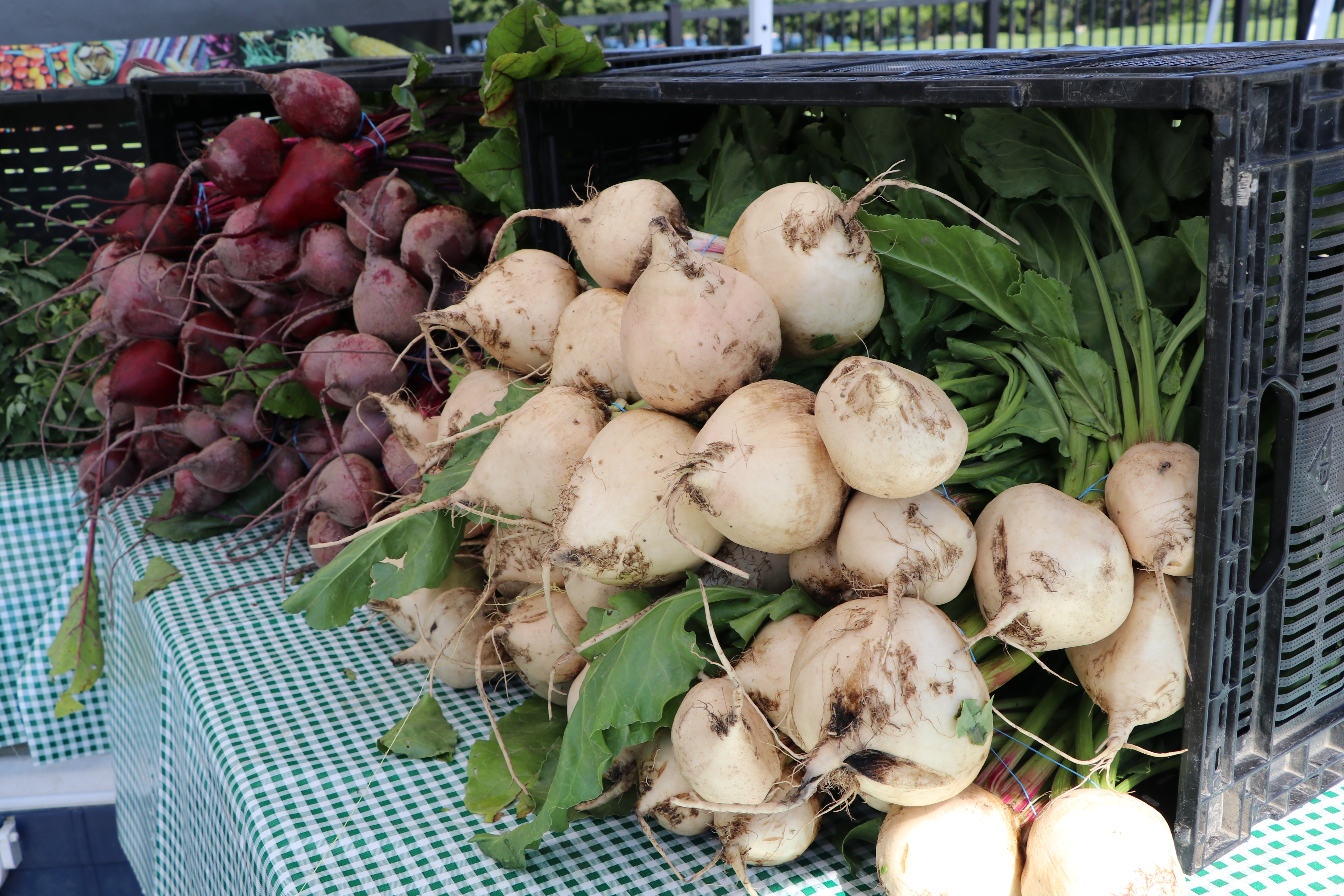 Lake Zurich Farmers Market at Paulus Park