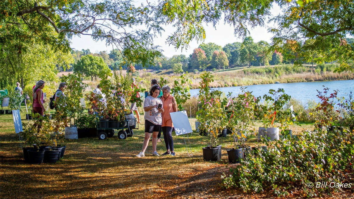 OAKtober Native Tree and Shrub Sale at Independence Grove 