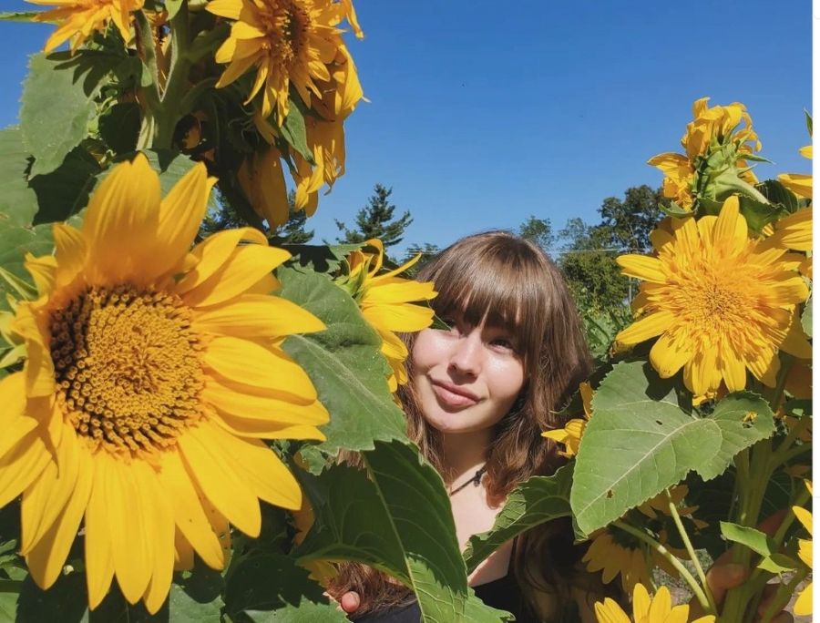 Sunflower Festival at Richardson Adventure Farm