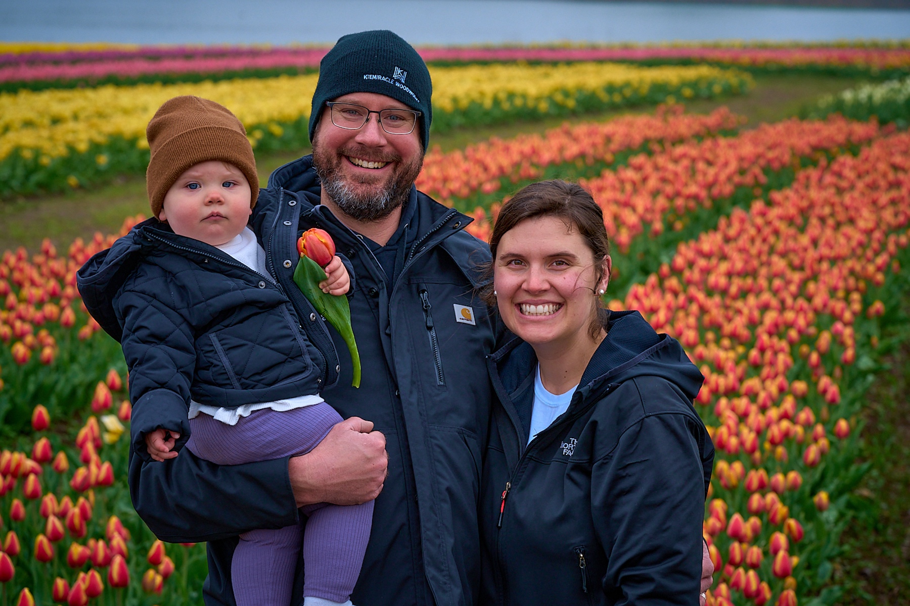 Tulip Fields Open at Richardson Adventure Farm on Earth Day