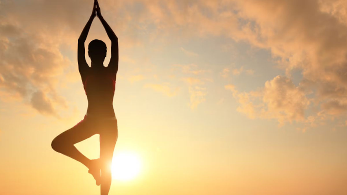 Yoga on the Farm at Elawa Farm