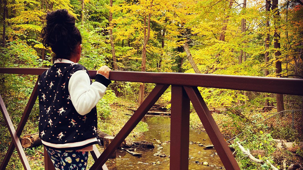 Autumn Sights on Lake County's Trails 