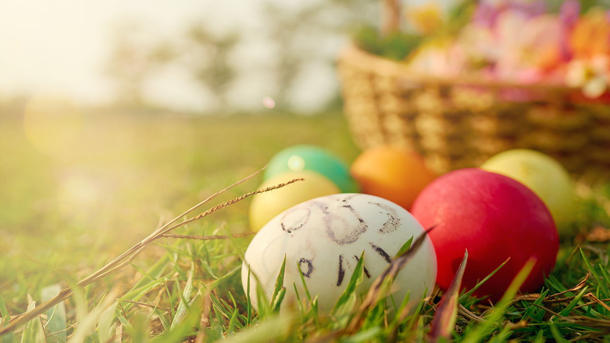 Deerpath Egg Dash and Doggie Egg Hunt in Vernon Hills