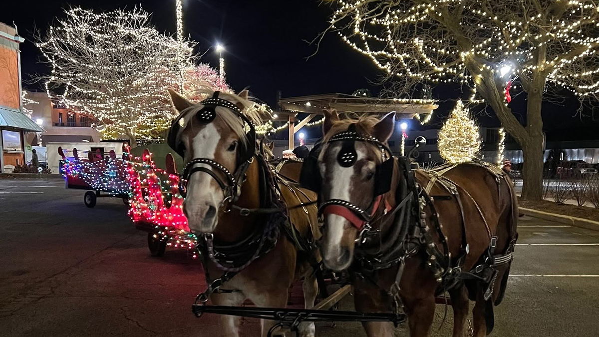 Grayslake Holiday Events 