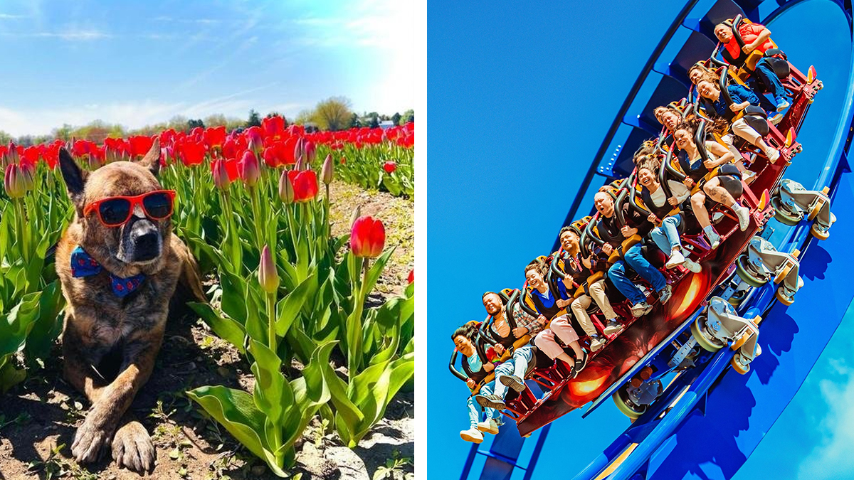 Top 10 Things To Do in April