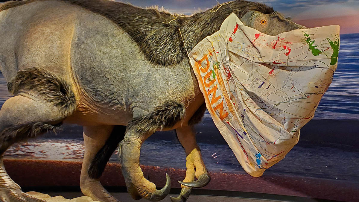 Dunn Museum in Libertyville