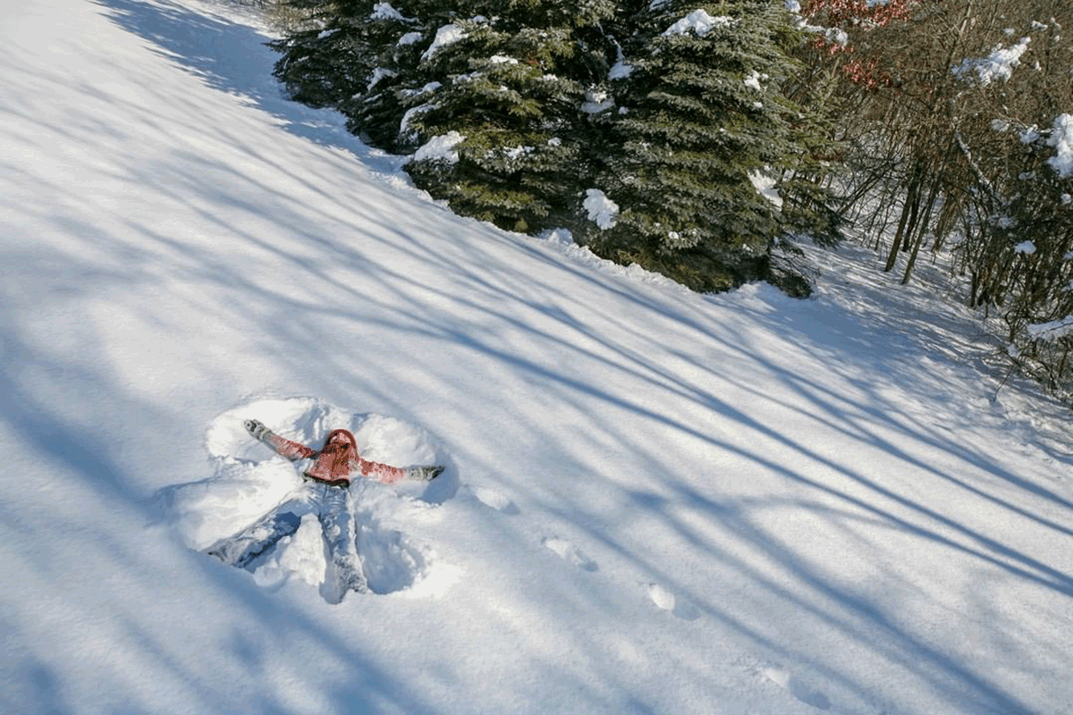 Independence Grove Forest Preserve in Libertyville