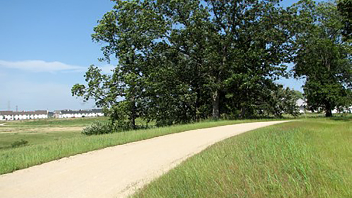 Millennium Trail and Greenway Forest Preserve
