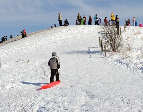 Old School Forest Preserve