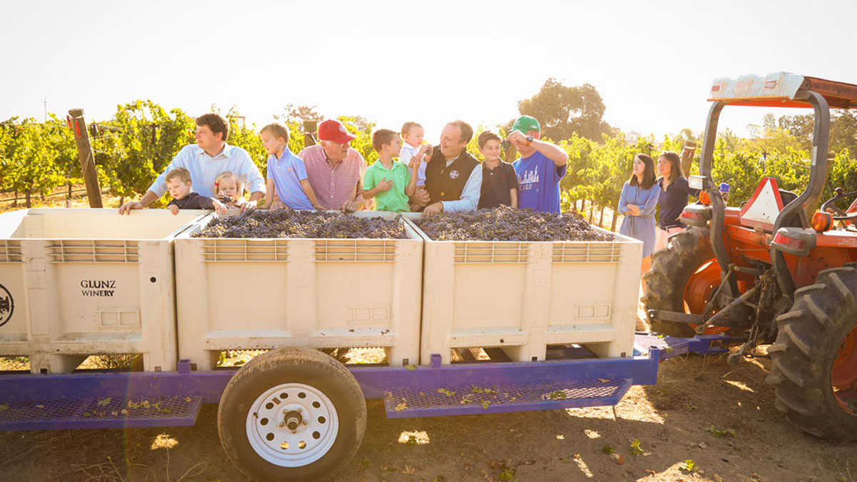 Glunz Family Winery & Cellars - Grayslake