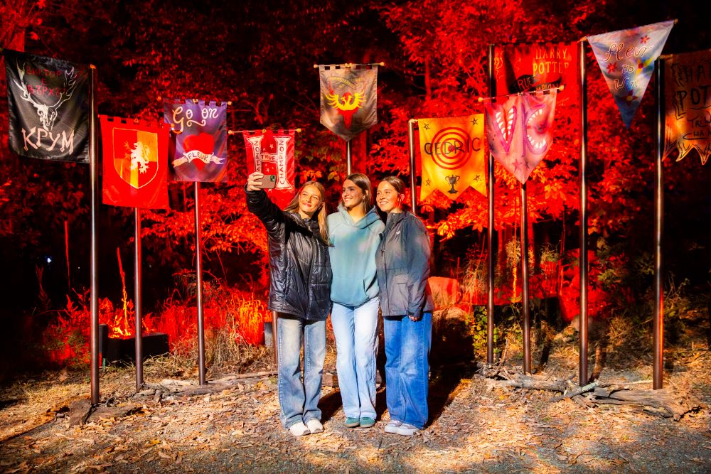 Harry Potter: A Forbidden Forest Experience