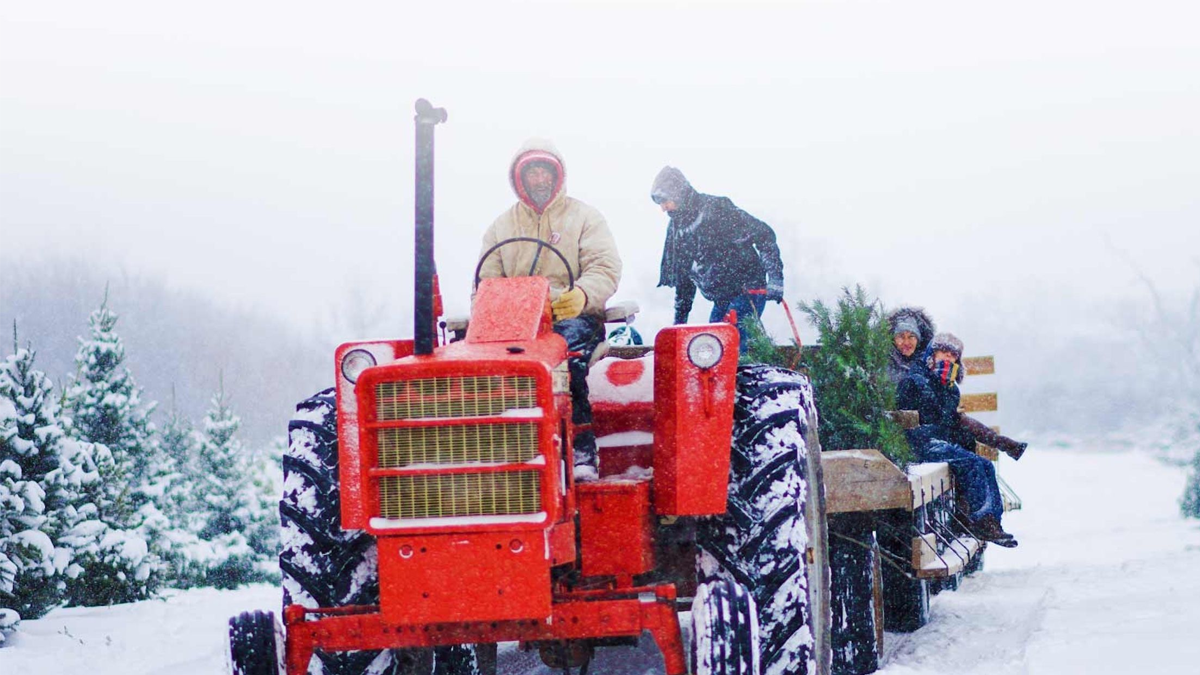 Richardson Adventure Farm & Corn Maze, LLC