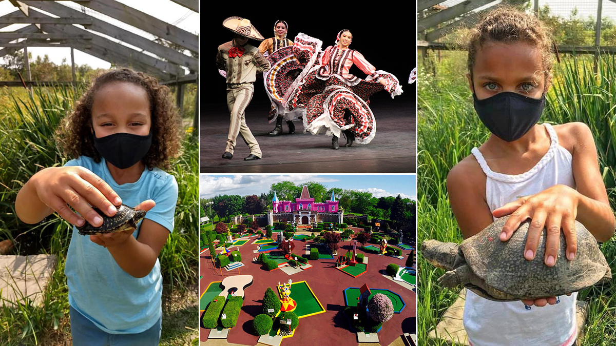 Wildlife Discovery Center in Lake Forest, Ballet Folkrico Tayahua at Genesee Theatre and Par-King Skill Golf 