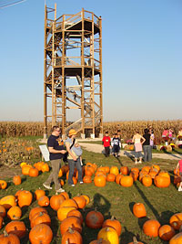 pumpkins-tower