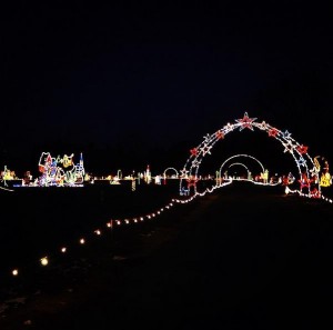 Vernon Hills Winter Wonderland Holiday Light Show