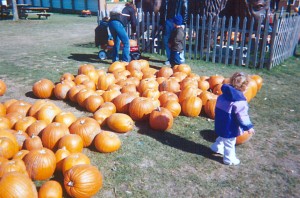 didier farms-kids and pumpkins