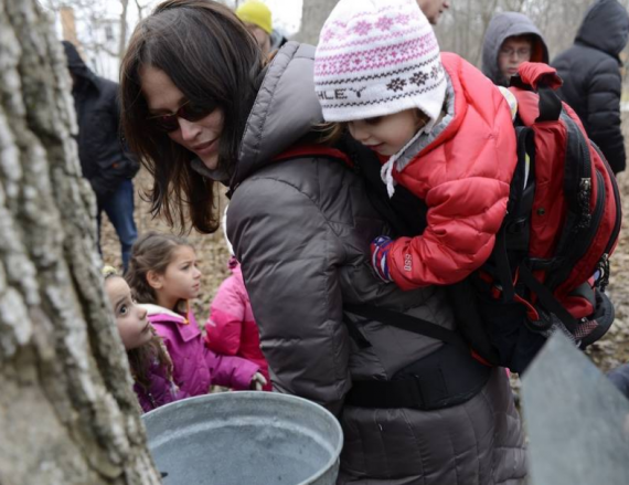 Maple Syrup Hikes at Ryerson Woods