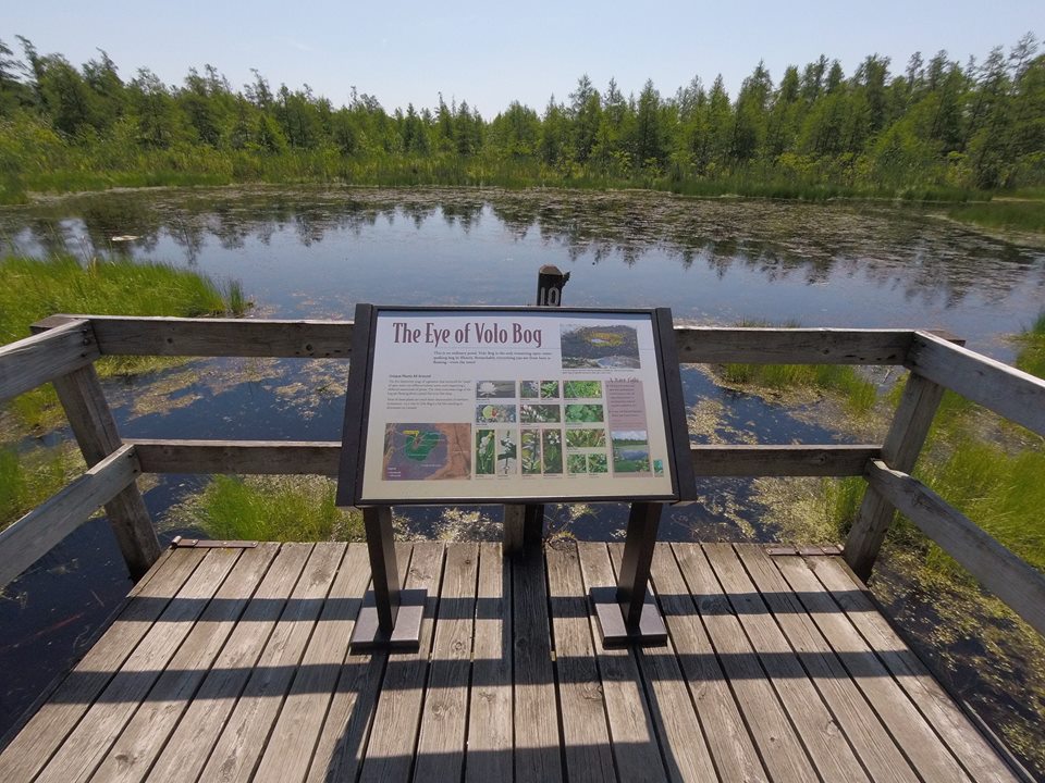 20+ Things To Do Under $1 in Lake County