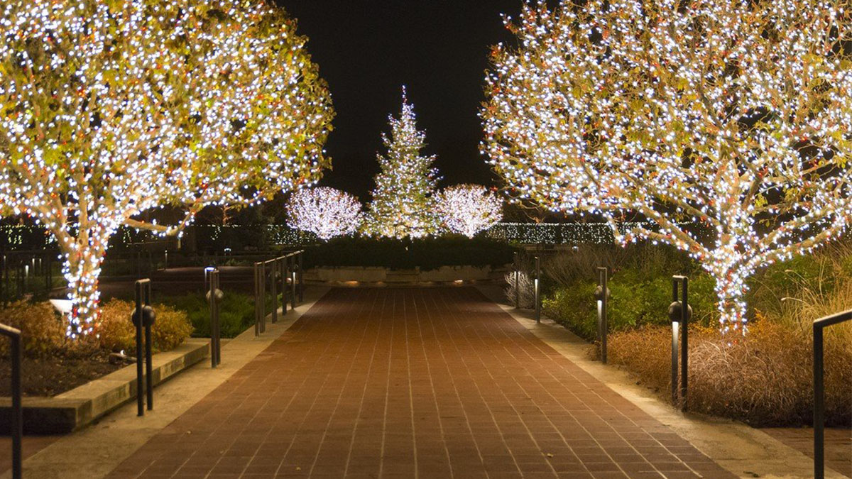 Top 10 Things To Do In January 2024