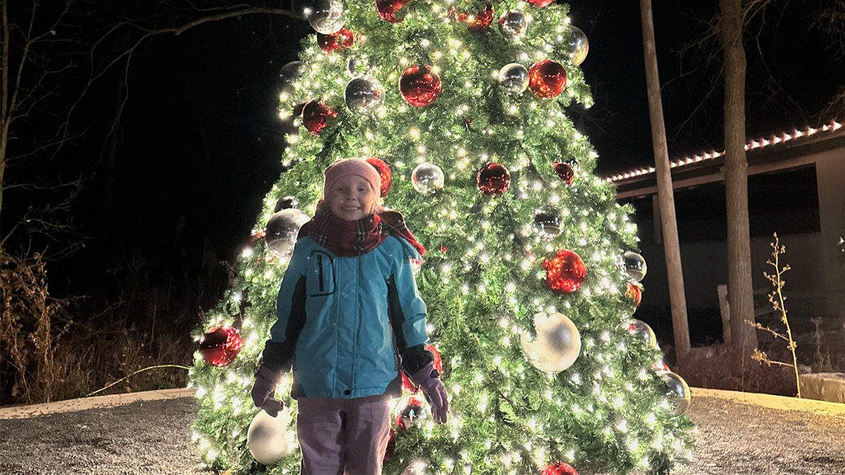 Things To Do This Weekend November 22-24, 2024